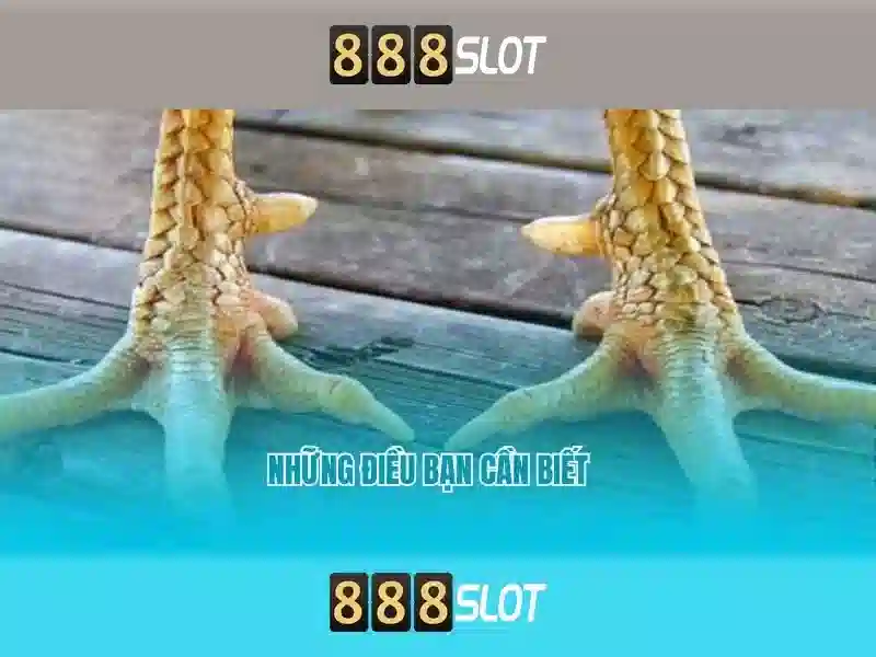 888slot: Nền tảng casino trực tuyến đáng tin cậy cho người chơi Việt