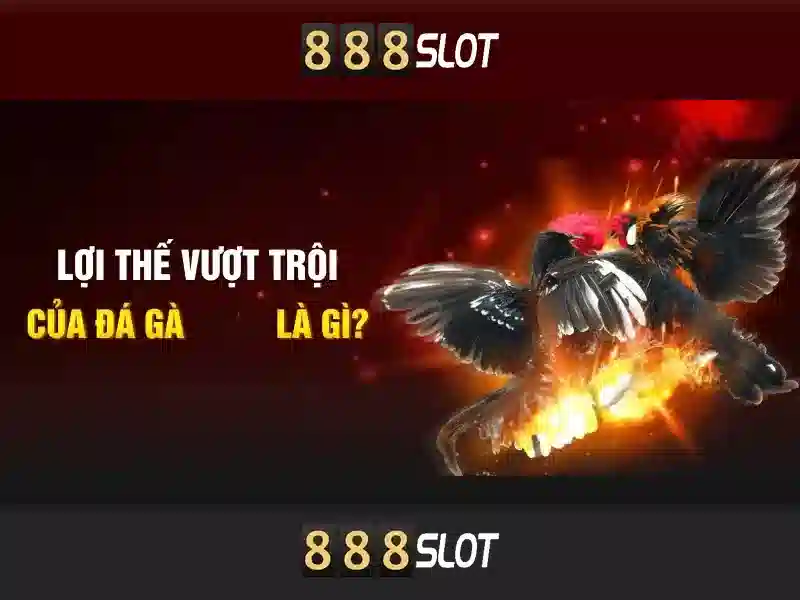 Giới thiệu về 888slot