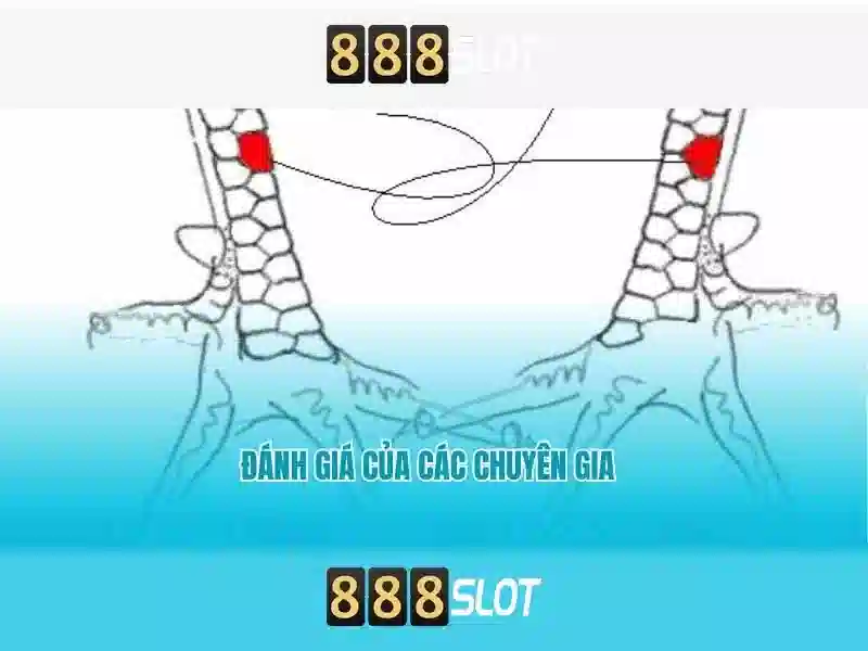 An toàn, thanh toán và bảo mật