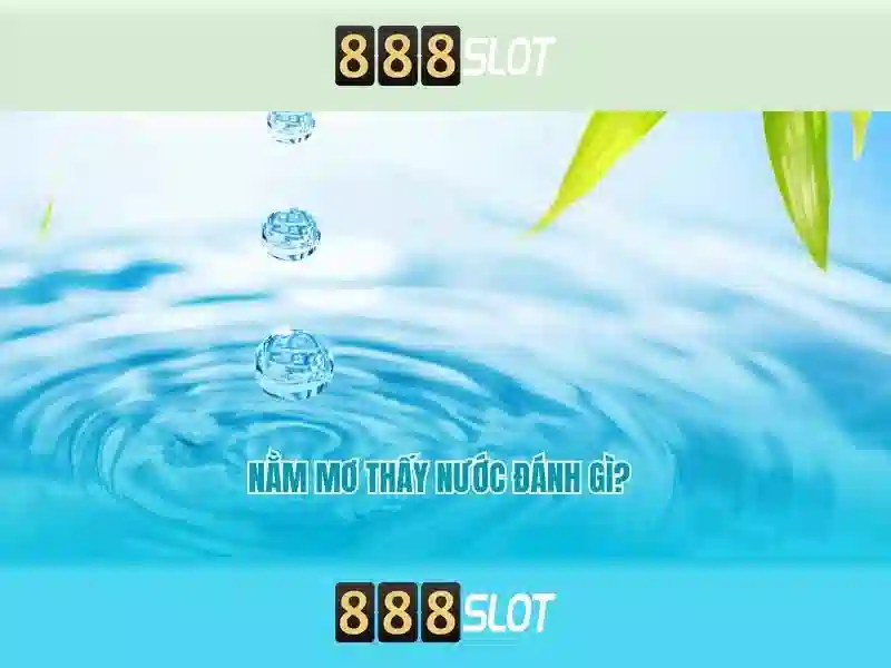 Khuyến mãi và chương trình khách hàng thân thiết