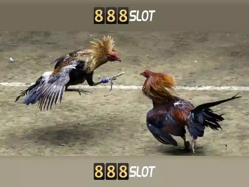 tổng quan chủ đề và giá trị cốt lõi