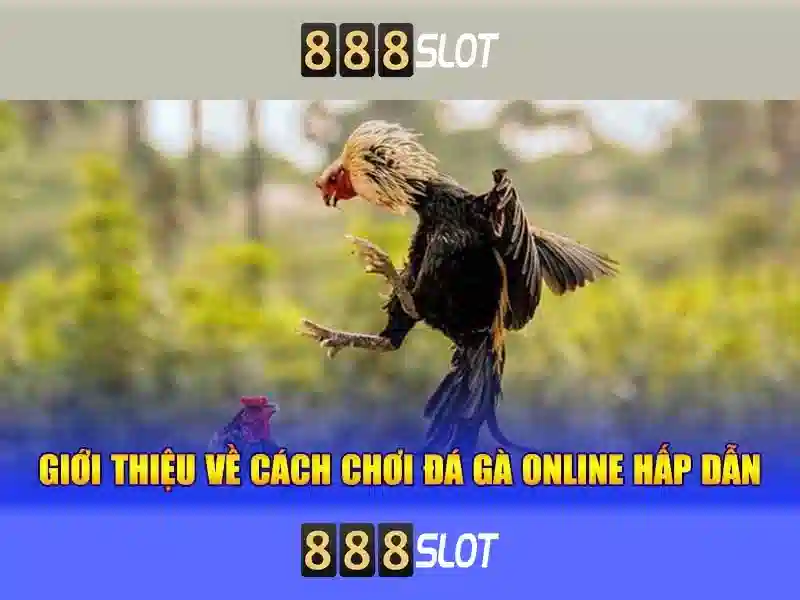 An toàn và thanh toán