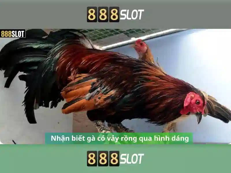 An toàn và thanh toán