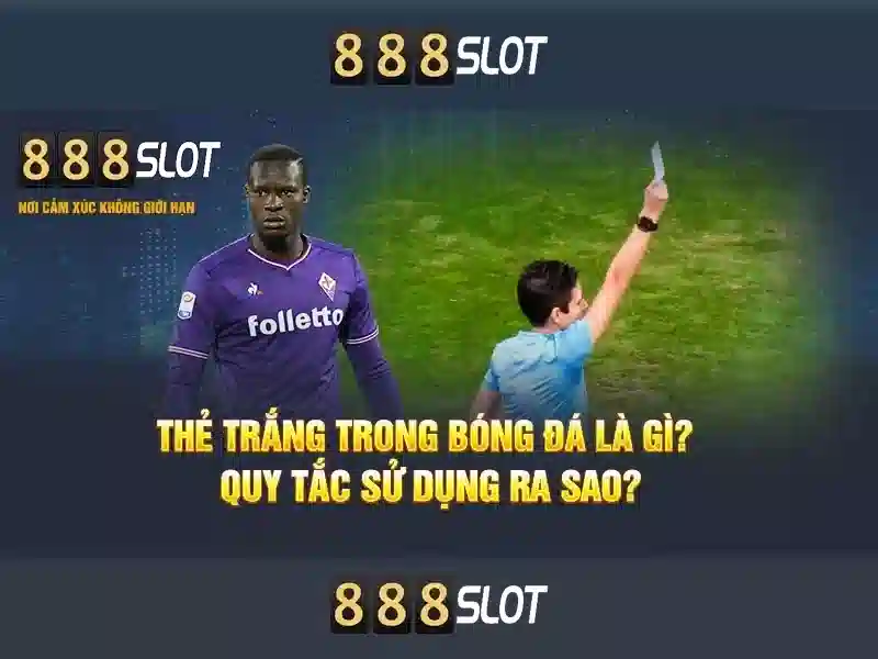 Khuyến mãi và chương trình thành viên
