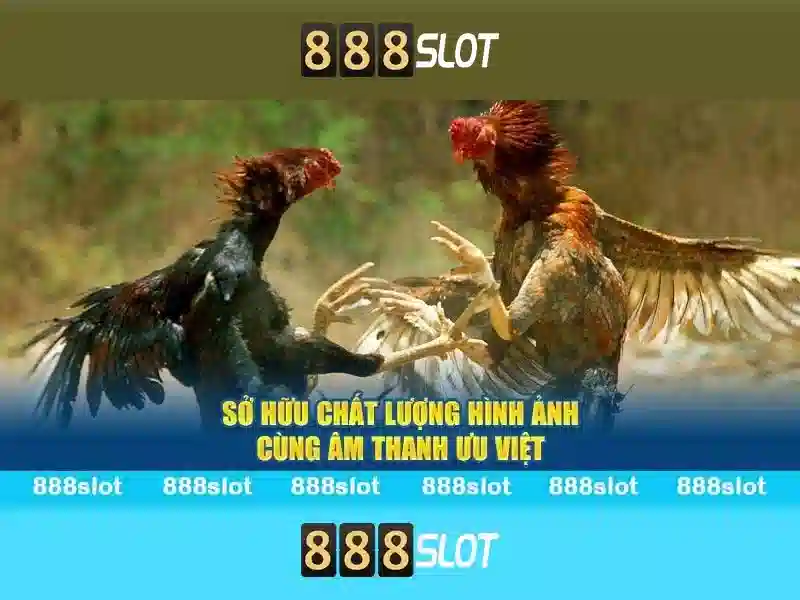 Khuyến mãi và chăm sóc khách hàng\n<h>Bảo mật và thanh toán</h><p><span style=