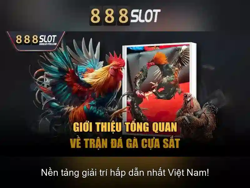 Khuyến mãi và tiện ích