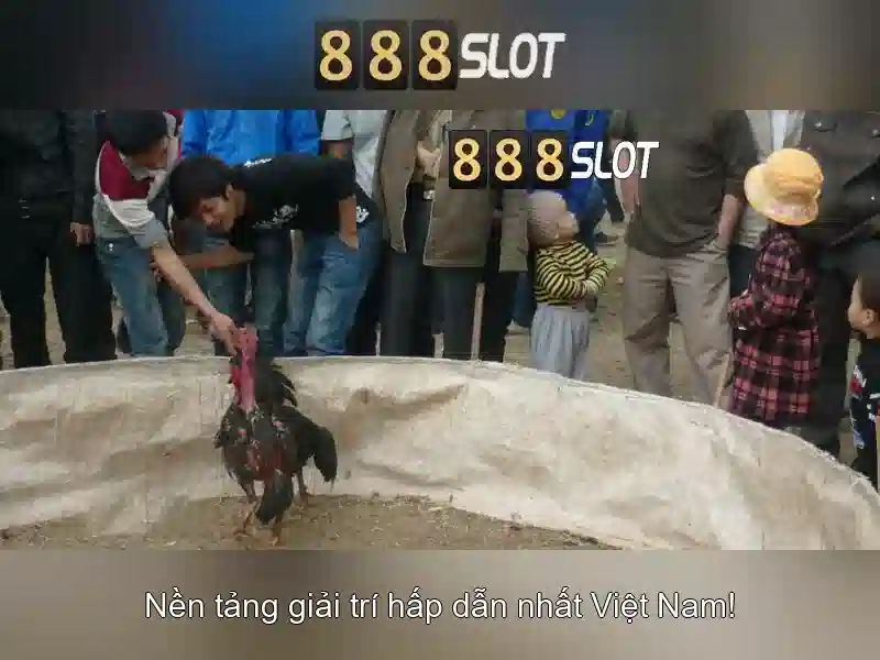  Hướng dẫn tham gia và khuyến mãi