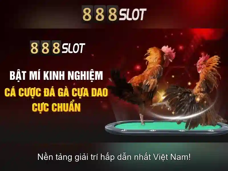 <!--IMG_PLACEHOLDER alt>Trải nghiệm người dùng và phản hồi cộng đồng-->