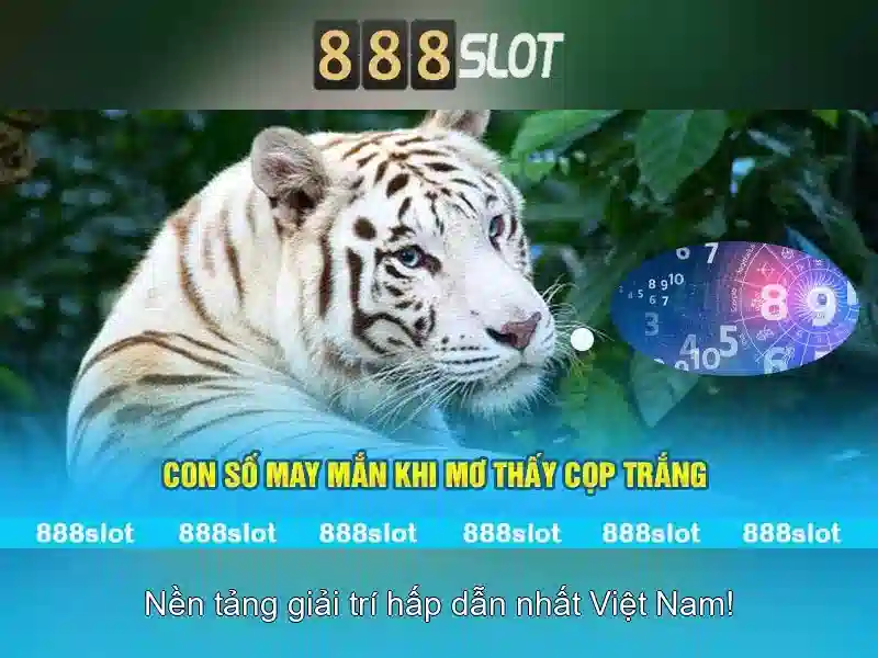 Tiện ích và thanh toán