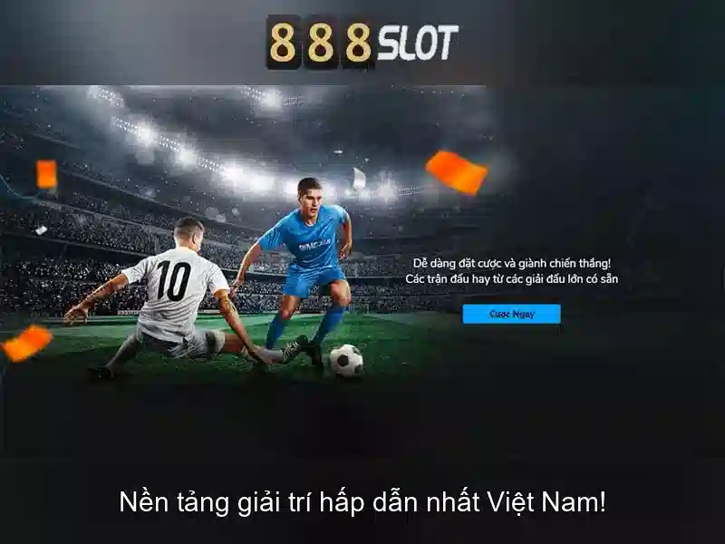 Kết luận