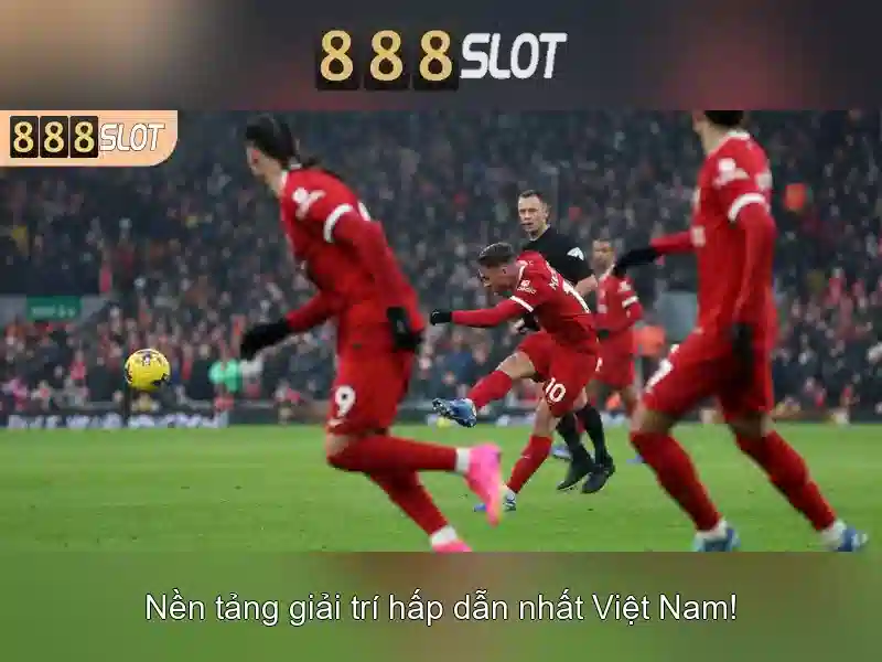 Trải nghiệm người dùng và hỗ trợ