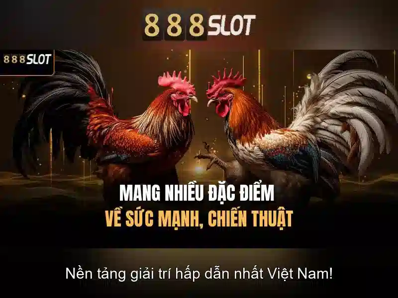 An toàn và công bằng